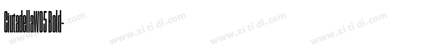 CiutadellaW05 Bold字体转换